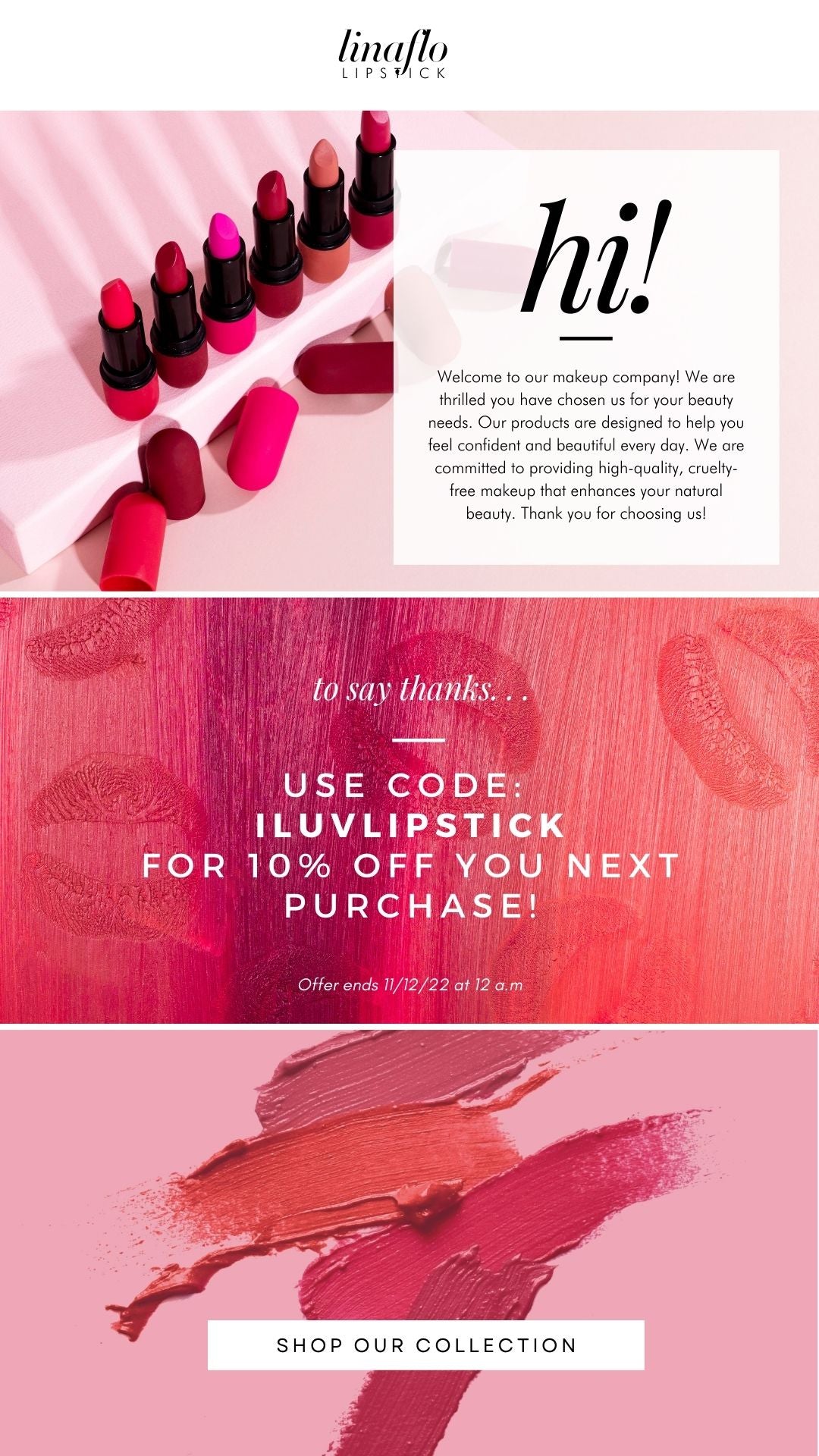 T00085 Lipstick Company Email- Modern Email Template